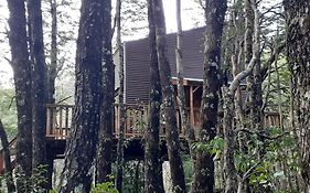 Domos Entre Bosques
